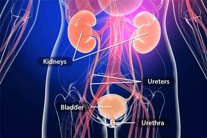 Urinary Tract Infection 