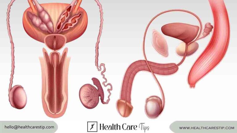 testicular cancer treatment